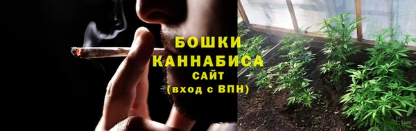 прущие грибы Балабаново