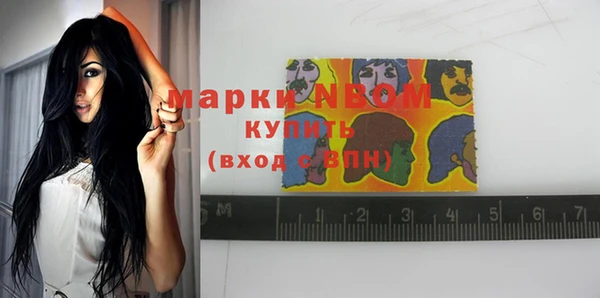 прущие грибы Балабаново