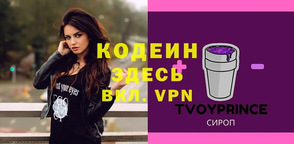 дмт Ельня