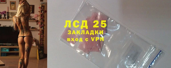 прущие грибы Балабаново