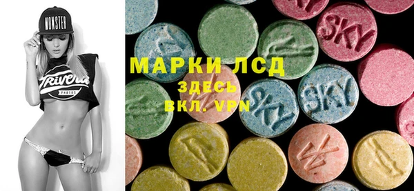 прущие грибы Балабаново